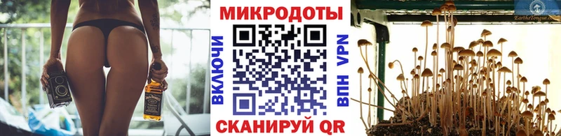 где купить Шумерля Псилоцибиновые грибы GOLDEN TEACHER